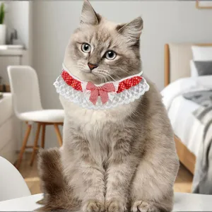 Cute pet lace bib detail, red polka dot bowknot design, soft cat collar accessory scene.