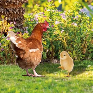 Detailed view of colorful metal chicken and chick yard art stakes for outdoor garden decoration.