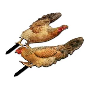 Acrylic chicken garden stakes, realistic yard art outdoor decorations for garden lawn.