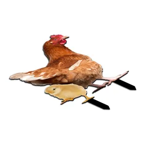 Colorful hen and chick yard art stake, outdoor garden lawn decoration for yard decor.