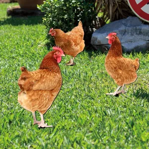 Detailed view of acrylic chicken yard art stakes, perfect for outdoor garden and lawn decoration.