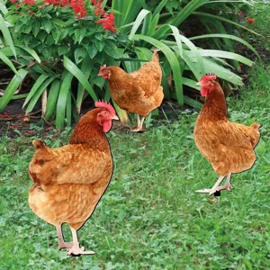 Acrylic chicken yard art stakes set, waterproof outdoor garden lawn decorative statues.