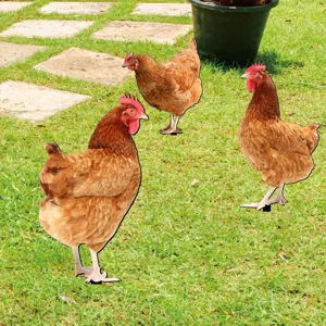 Acrylic chicken yard art stakes, cute outdoor garden lawn decor ornaments for backyard.