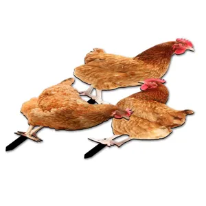 Acrylic chicken garden stakes detail showing colorful farm animal yard art for outdoor decor.