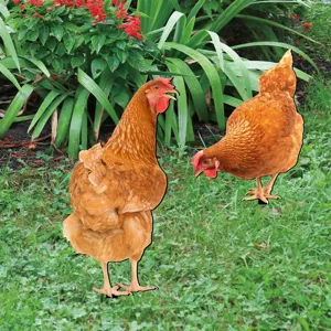 Acrylic chicken yard stakes detail, vibrant outdoor garden lawn art decoration display.