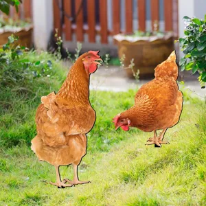 Acrylic chicken yard art garden stakes decorative outdoor lawn ornaments set of two