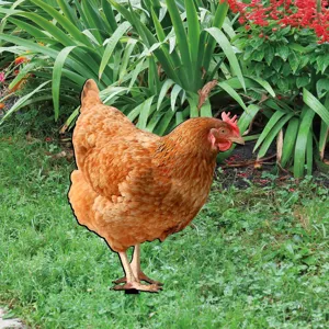 Paletto Da Giardino In Acrilico Per Gallina Arte Da Cortile Prato Decorazione Animale
