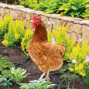 Ottimo dettaglio picchetto gallina in acrilico per bella decorazione giardino esterno.