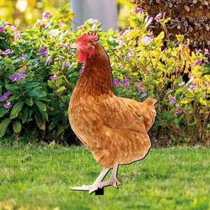 Paletto da giardino in acrilico a forma di gallina per decorazione esterna prato.