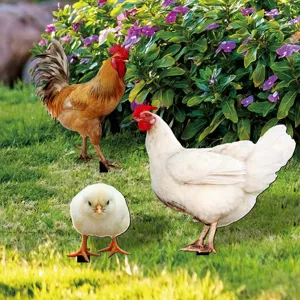 Cute chicken yard art stakes set for garden outdoor lawn decoration and yard landscaping decor