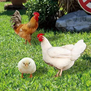 Rooster hen and chick yard art stakes for outdoor garden decoration, lawn decorative inserts.
