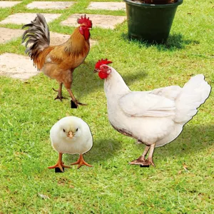 Rooster hen and chick yard art garden stakes outdoor lawn decoration metal stakes animal decor