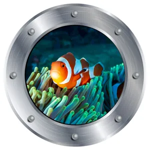 Close-up detail of the metal porthole wall sticker featuring a cute clownfish in ocean anemone.