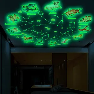 Stickers muraux phosphorescents 12 constellations autocollants lumineux de plafond pour chambre d'enfant