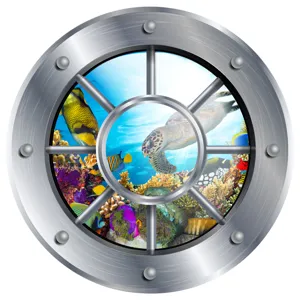Close-up of marine porthole wall sticker with vivid sea turtles and coral reefs, kids decor.