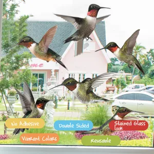 Primo piano di adesivi statici per vetri a doppio lato con colibrì colorati in uso.