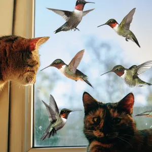 Primo piano dettagliato di adesivi per finestre a forma di colibrì colorati anti-collisione.
