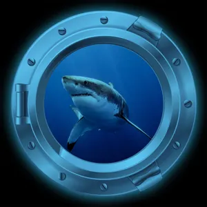 Luminous porthole wall sticker featuring a realistic great white shark design for home decor.