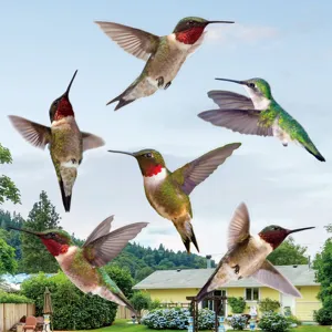 Dettaglio adesivo per finestra colibrì con design colorato in PVC a doppia faccia.