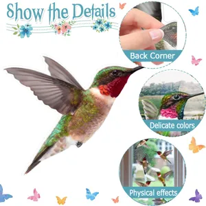 Dettagli dell'adesivo per finestre statico colibrì con angolo posteriore e colori.