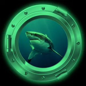 Luminous porthole wall decal featuring a realistic great white shark design, perfect for room decor.