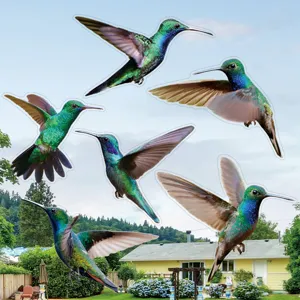 Vista dettagliata di adesivi colorati per finestre di colibri, anti-collisione PVC statico.