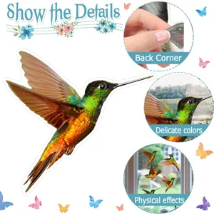 Vista dettagliata che mostra l'adesivo per finestre colibrì, il retro ed effetti.