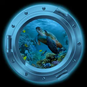 Glow underwater sea turtle porthole wall sticker 3d decal detail view ocean animal decor.
