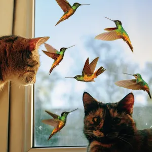 Dettaglio in primo piano di adesivi per finestre colibrì colorati, pellicola anti-collisione.