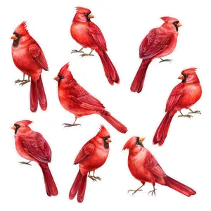 Adesivi per finestre cardinale anticollisione statici in PVC decorazione uccelli.