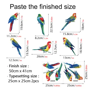 Layout dettagliato dell'adesivo per finestre pappagallo colorato con dimensioni e misure.