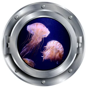 Detail view of a 3D porthole jellyfish wall sticker, perfect for kids room and nursery decor.
