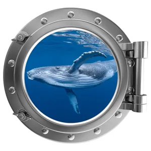3D Porthole Ocean Whale Wall Sticker Fake Window Decal for Kids Room Kindergarten Decor