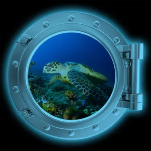 Luminous porthole marine animal wall sticker featuring a sea turtle underwater scene for home decor.
