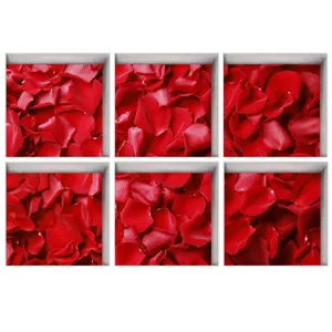 Detailed view of red rose petal anti-slip bathtub stickers, featuring a textured anti-skid surface.