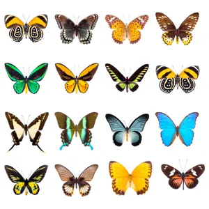 Adesivi per finestre statici farfalla in PVC colorato, vetrofanie anti-collisione, 16pz.