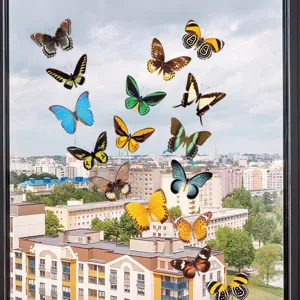 Adesivi per finestre statici a farfalla colorati, decalcomanie in vetro PVC anticolisione.