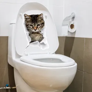 Detailed view of the 3D broken wall cat toilet sticker, realistic design for home decor.