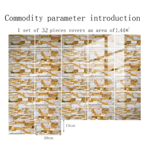 Vue détaillée montrant la feuille de paramètres et dimensions pour l'autocollant de carreau.