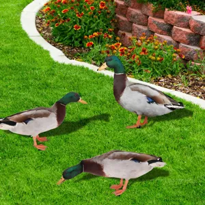 Vue détaillée de piquets de jardin canards colverts réalistes pour la décoration extérieure.