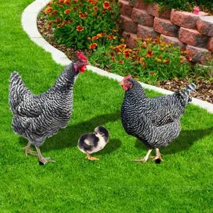 Piquet de jardin poule en métal décoration pelouse extérieur statue animal mignon lot