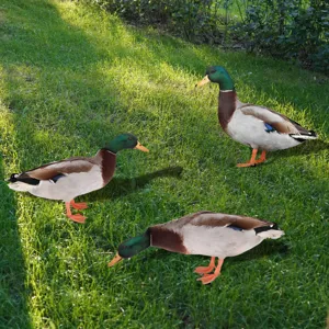 Piquets de jardin en forme de canard pour decoration exterieure, design realiste, resistant.