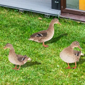 Lot de piquets de jardin canard, déco pelouse, détail d'ornement animal en acrylique miroir.