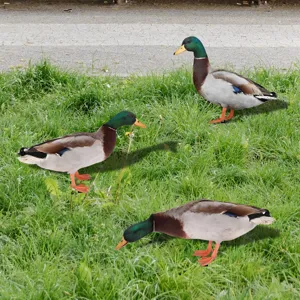 Piquet de jardin canard en métal décoration extérieure pelouse parterre paysager.