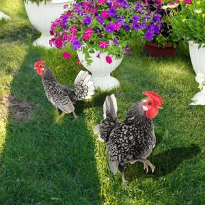 Piquet de jardin coq coloré pour décoration extérieure, ornement de pelouse réaliste.