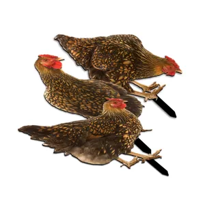 3-piece chicken garden stakes yard art outdoor decorative lawn plant stakes detail