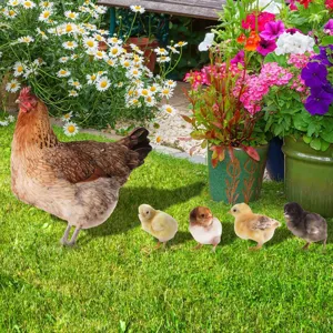 Piquets de jardin colorés poule et poussins pour décoration extérieure et aménagement paysager.