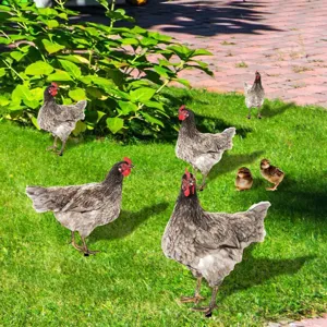 Vue détaillée de piquets de jardin poule en acrylique, idéale pour décoration extérieure.