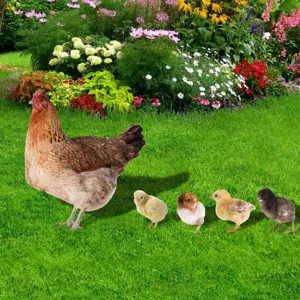 Piquets de jardin poulet métal art cour pelouse décoration mignon poule et poussins