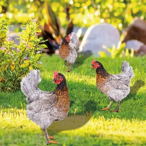 Vue détaillée de piquets de jardin colorés en 3D représentant des poulets, déco extérieure.